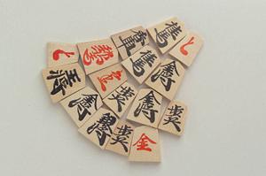 箸の通販で買うならリゾートラボ