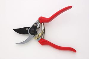 オリジナル印刷グラスの選び方と活用法！記念品やイベントに最適なデザインを提案