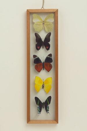 クイズイベントに使える早押しボタン