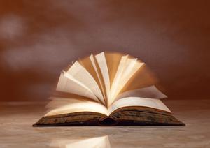 用途に合わせた包装資材を探すなら